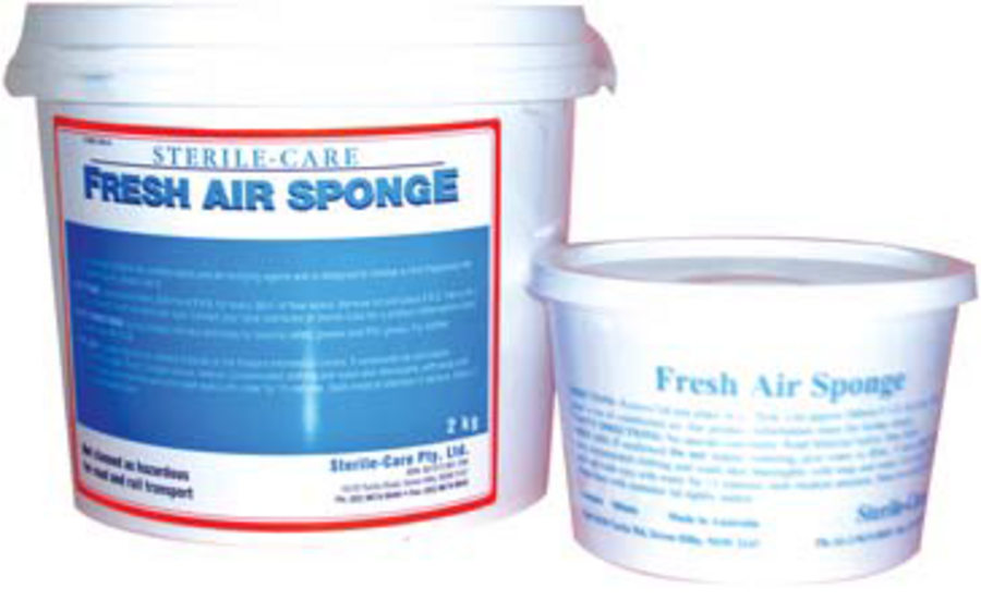 Fresh Air Sponge 500ml