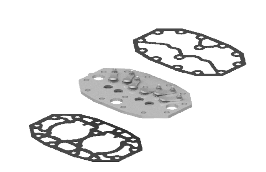 Dorin Valve Plate Kit